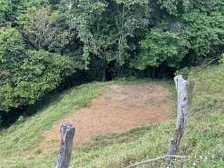 Finca de 30.000m2 (7,5 acres) ubicada a 10 minutos con vistas in Atenas, Alajuela — $525,000 - Photo 4 of 18