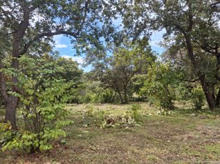 Lote en Venta, Guanacaste, Liberia, Cañas Dulces 5PDN9630579 en Cañas Dulces, Liberia, Guanacaste — $215,000 - Foto 5 de 25