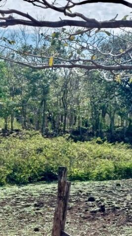 Lote en Venta en La Cruz, Guanacaste. RAH 25-1788 en La Cruz, Guanacaste — $250,000