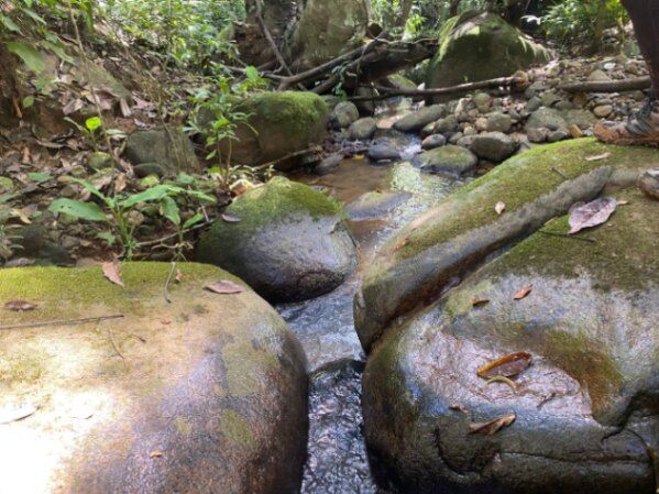 HERMOSA FINCA DE 8 HECTÁREAS EN BUENOS AIRES, PUNTARENAS in Buenos Aires, Puntarenas — $120,000