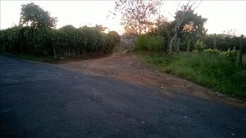 Land For Sale Grecia, Grecia, Alajuela