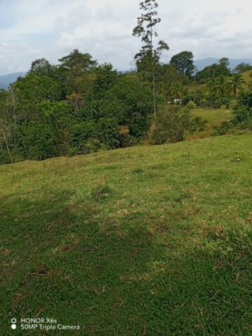 DE OPORTUNIDAD BELLA Y ÚTIL FINCA EN VALLE LA ESTRELLA, LIMÓN.  in Valle La Estrella, Limón — ₡ 3 000 000