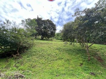Venta de Extenso Lote de Terreno en Atenas, Alajuela / Mls. 26-956 OFC JB en Atenas, Alajuela — $90,000 - Foto 5 de 6