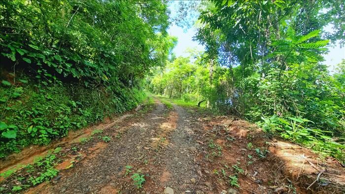 Finca a la venta 7.7 hectareas en San Mateo en San Mateo, Alajuela — $270,000