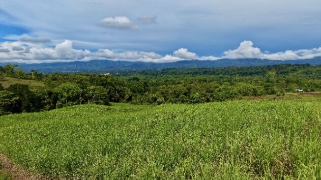 VENTA DE FINCA DE 2.5 HA CON VISTA A LA MONTAÑA EN GENERAL VIEJO, PEREZ ZELEDON in San Isidro De El General, Pérez Zeledón, San José — $118,490