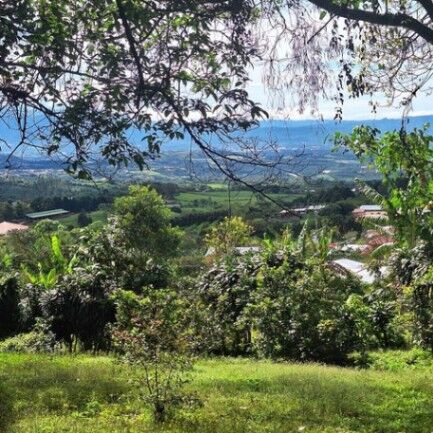 MLS-26-330 LS VENTA LOTE SAN ISIDRO GRECIA en San Isidro, Grecia, Alajuela — ₡ 155 000 000