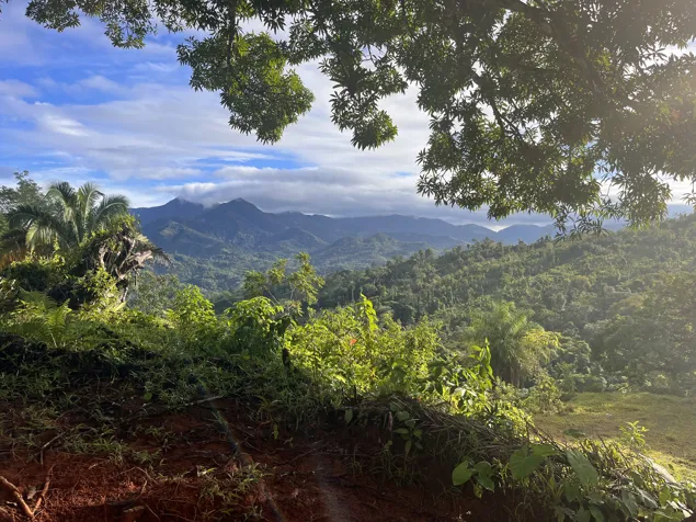 SPECTACULAR ECOLOGICAL MOUNTAIN FARM IN BIJAGUAL DE TURRUBARES en Carara, Turrubares, San José — $1,250,000