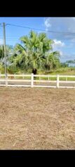Venta de lote en la Fortuna de San Carlos en La Fortuna, San Carlos, Alajuela — 42 500 000 ₡ - Foto 4 de 8