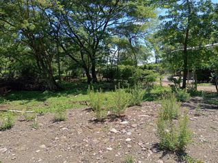 Hermoso Lote en Llanito de Tamarindo in Tamarindo, Santa Cruz, Guanacaste — $180,000 - Photo 4 of 9