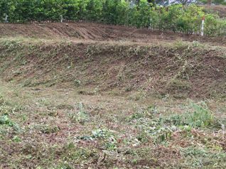 Lot for Sale in Playa Naranjo – Just 300 Meters with Ocean View in Lepanto, Puntarenas — $140,000 - Photo 4 of 10