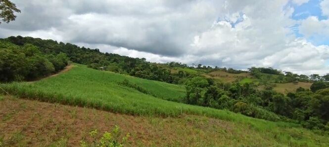 SE VENDE FINCA DE TIERRA FERTIL EN GENERAL VIEJO,PÉREZ Z. en San Isidro De El General, Pérez Zeledón, San José — $340,000