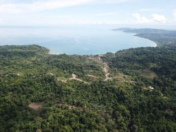 Venta de Lote en Osa Bahia-Drake, Puntarenas. RAH 26-1303 en Bahía Drake, Osa, Puntarenas — $4,000,000 - Foto 4 de 11