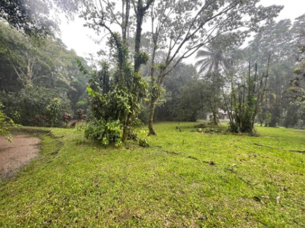 VENTA DE TERRENO l CARIBLANCO, SARAPIQUÍ l ALAJUELA l PRECIO NEGOCIABLE. in Sarapiquí, Alajuela — ₡ 85 000 000 - Photo 3 of 11