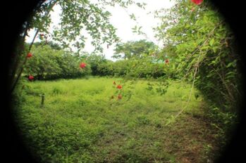 venta de hermoso lote con gran potencial turistico en Bahía Ballena, Osa, Puntarenas — $450,000 - Foto 5 de 14