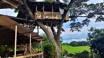 Casa de Arbol Pizzería Italiana in Carmona, Nandayure, Guanacaste — $120,000 - Photo 3 of 32