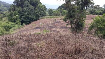 Lotes en Venta en Llano Grande de Mora, Puriscal in Picagres, Mora, San José — 60 000 000 ₡ - Photo 4 of 5