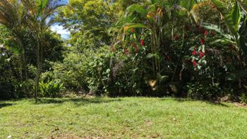 Finca de 21.512 m² en San Rafael Norte, Pérez Zeledón — Ingresos Activos y Potencial Turístico in San Isidro De El General, Pérez Zeledón, San José — $400,000 - Photo 5 of 19