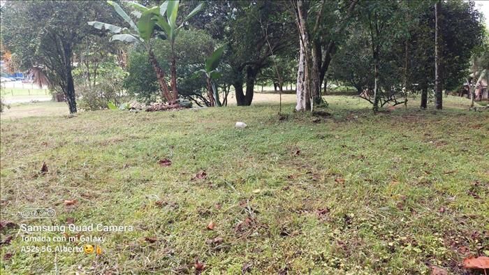 VENTA DE FINCA, PUNTARENAS, GOLFITO en Golfito, Puntarenas — $320,000