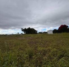 Venta, Lote, Terreno, San Pedro, Montes de Oca