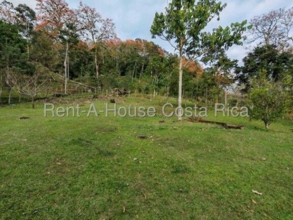 MLS-26-1444 LS VENTA FINCA MURCIA TURRIALBA en Turrialba, Cartago — $3,500,000
