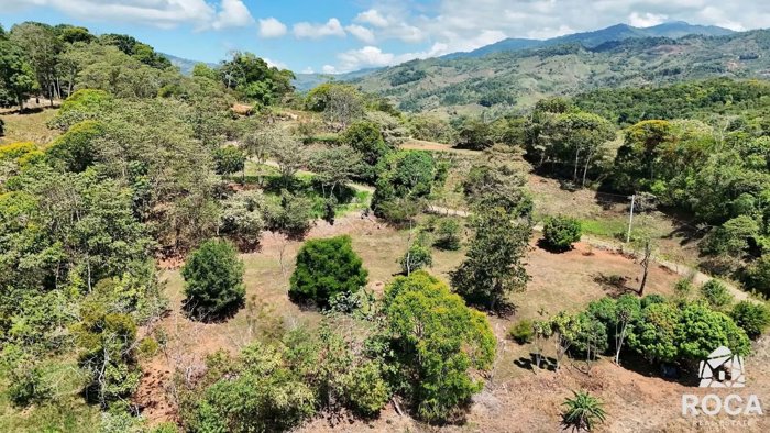 Lindo lote en venta en Villanueva de Pérez Zeledón in San Isidro De El General, Pérez Zeledón, San José — $150,000 - Photo 3 of 10