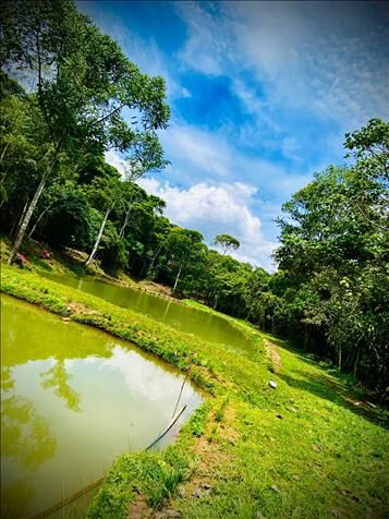 LAND FOR SALE THE TILAPIA PONDS HOUSES 14 HECT in Cajón, Pérez Zeledón, San José — $850,000