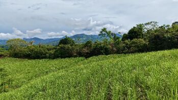 SE VENDE FINCA DE CAÑA CON VISTAS PANORAMICAS Y AGUA PROPIA en El General, Pérez Zeledón, San José — $236,979 - Foto 5 de 12