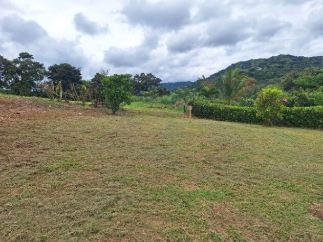 vendo lote con preciosa vista al valle central  en Santa Eulalia, Atenas, Alajuela — ₡ 28 000 000