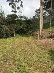 TERRENOS EN PARCELAS  en Pavones, Turrialba, Cartago — 14 500 000 ₡ - Foto 5 de 5