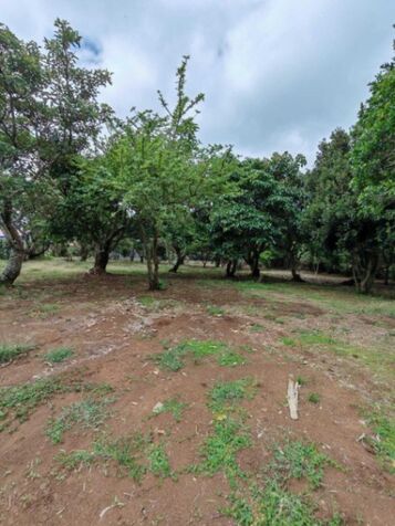 Venta de Lote en San Rafael de Heredia. RAH 25-1922 in Concepción, San Rafael, Heredia — ₡ 175 000 000
