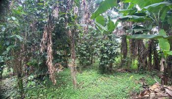 VENTA DE TERRENO SABANILLA DE MONTES DE OCA en Sabanilla, Montes De Oca, San José — $375,000 - Foto 4 de 7