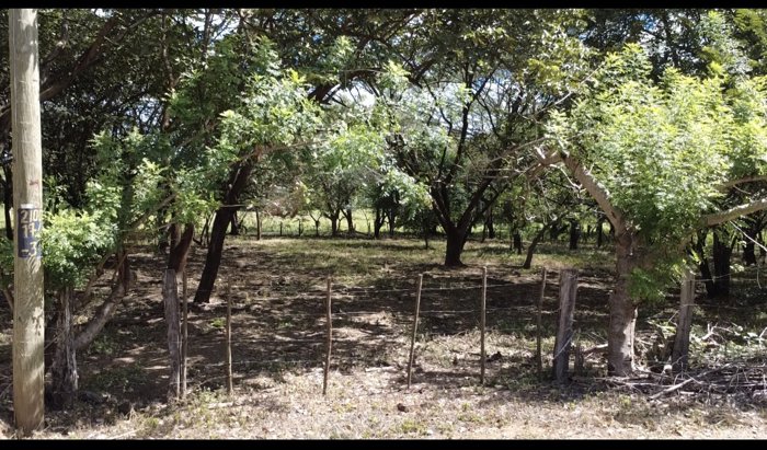 Quinta en venta Cartagena-Guanacaste en Cartagena, Santa Cruz, Guanacaste — ₡ 35 000 000 - Foto 3 de 3