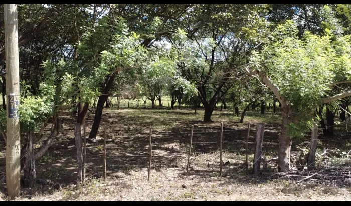 Quinta en venta Cartagena-Guanacaste in Cartagena, Santa Cruz, Guanacaste — ₡ 35 000 000 - Photo 3 of 3
