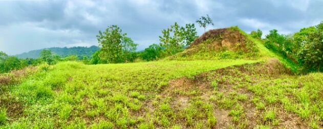 Se vende lote oportunidad para proyecto e inversión  en Guaycará, Golfito, Puntarenas — ₡ 70 000 000