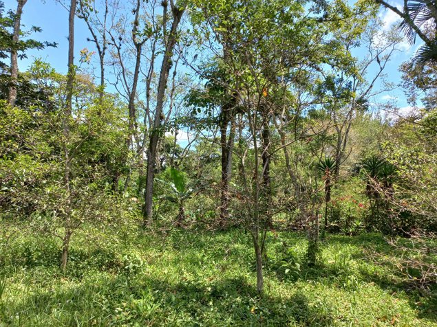 Venta de terreno en Guayabo de Mora. Viva en armonía con la naturaleza in Guayabo, Mora, San José — ₡ 85 000 000 - Photo 3 of 12