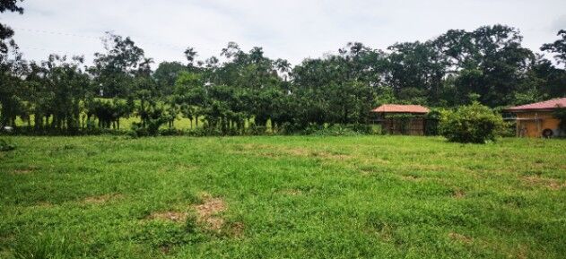 Hermoso lote en Agua Azul de La Fortuna en La Fortuna, San Carlos, Alajuela — ₡ 33 000 000