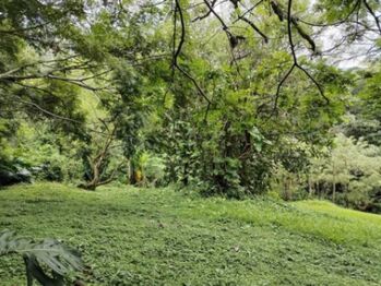 Venta de Excelente Lote en Mora, Colón / Mls. 26-886 OFC JB en Colón, Mora, San José — $1,300,000 - Foto 4 de 20