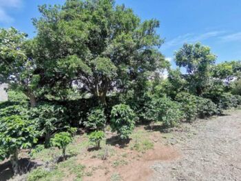 Venta de Lote en Santo Domingo, Heredia. RAH 26-417 in Santo Tomás, Santo Domingo, Heredia — $1,000,000 - Photo 4 of 16