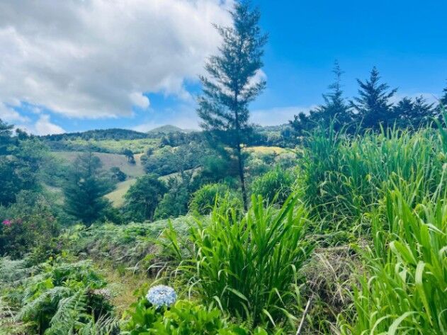 Venta de lote de 12779 m2 en San Jose de la Montaña Barva Heredia en San José de La Montaña, Barva, Heredia — $230,000