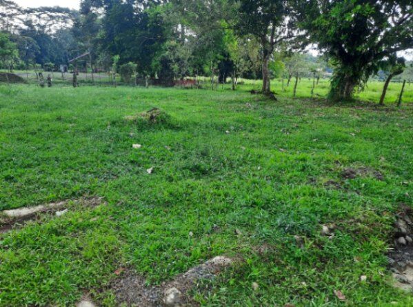 Lotes en venta en La Fortuna zona exclusiva.  en La Fortuna, San Carlos, Alajuela — ₡ 26 500 000