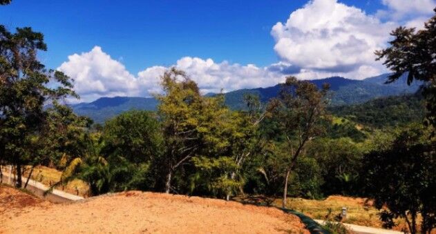 VENTA DE LOTES, PUNTARENAS, OSA, BAHIA BALLENA, DULCE PACIFICO  in Bahía Ballena, Osa, Puntarenas — $175,000
