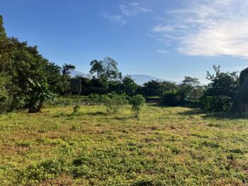 Farm For Sale Atenas, Atenas, Alajuela