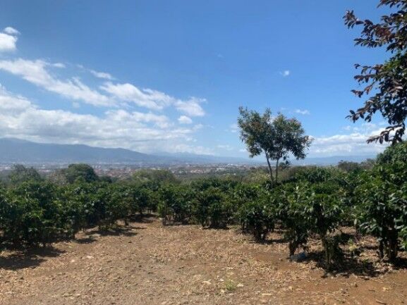 se vende amplia finca de 18 hectáreas en Concepción de Heredia 25-1394 in Concepción, San Rafael, Heredia — $5,770,931