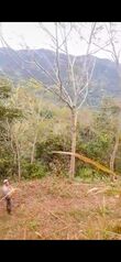 Se vende finca en Tabarcia de Mora, Ciudad Colón. en Tabarcia, Mora, San José — 250 000 000 ₡ - Foto 5 de 8