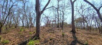 Private Mountain View Lot with Native Trees at Marbella en Cuajiniquil, Santa Cruz, Guanacaste — $140,000 - Foto 5 de 10