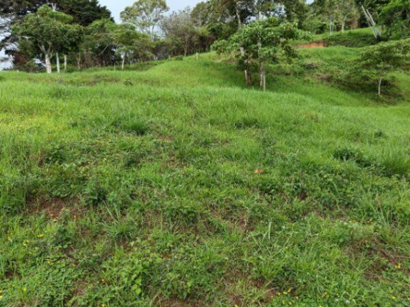 Venta de lote de 14,000 M2 ubicado en pico blanco Escazu  en San Antonio, Escazú, San José — $630,000