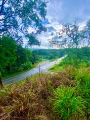 Se vende lote oportunidad para proyecto e inversión  in Guaycará, Golfito, Puntarenas — 70 000 000 ₡ - Photo 4 of 6
