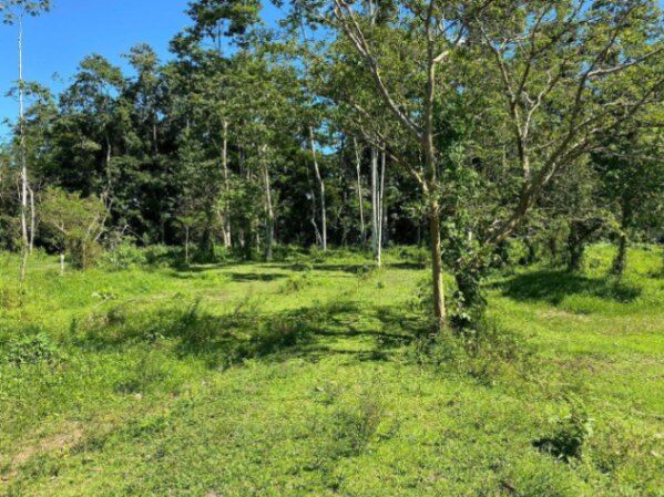 Venta de Lote en Grecia, Alajuela. RAH 25-1784 en Grecia, Alajuela — $45,000