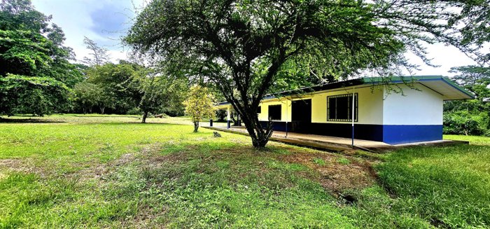 Se Vende Finca en Guácimo de Limón in Guácimo, Limón — ₡ 45 000 000 - Photo 3 of 19