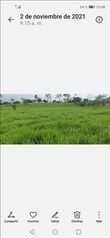 Farm For Sale Venecia, San Carlos, Alajuela